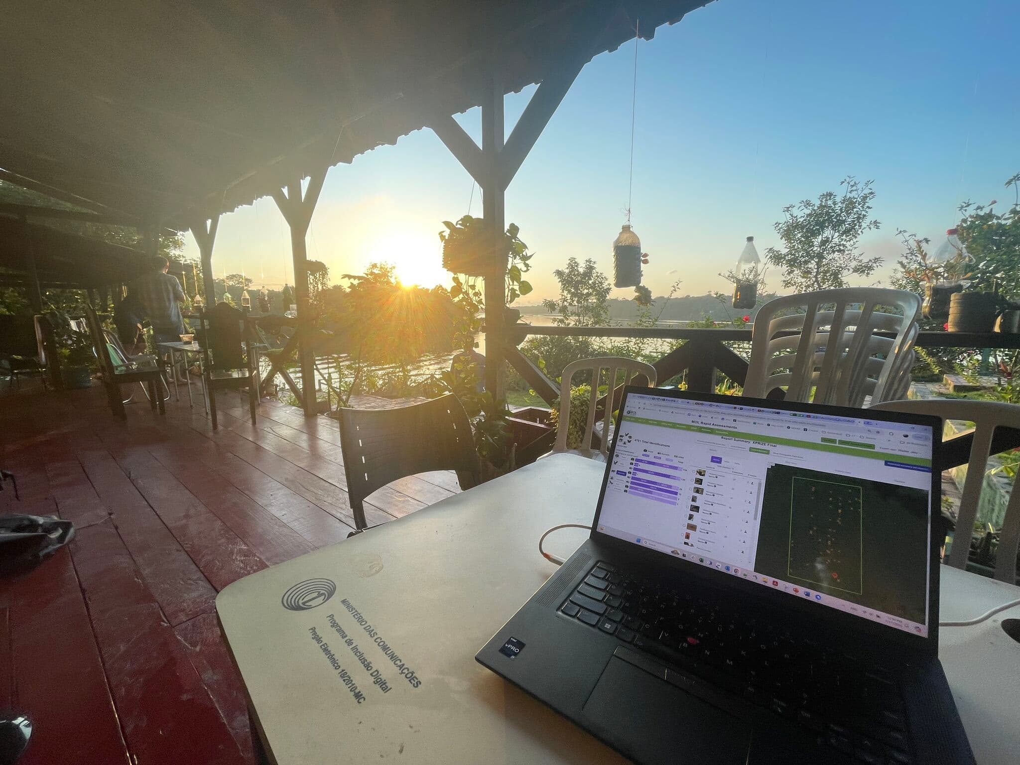 A laptop showing species identification results on a riverside deck at sunrise during the XPRIZE Rainforest final