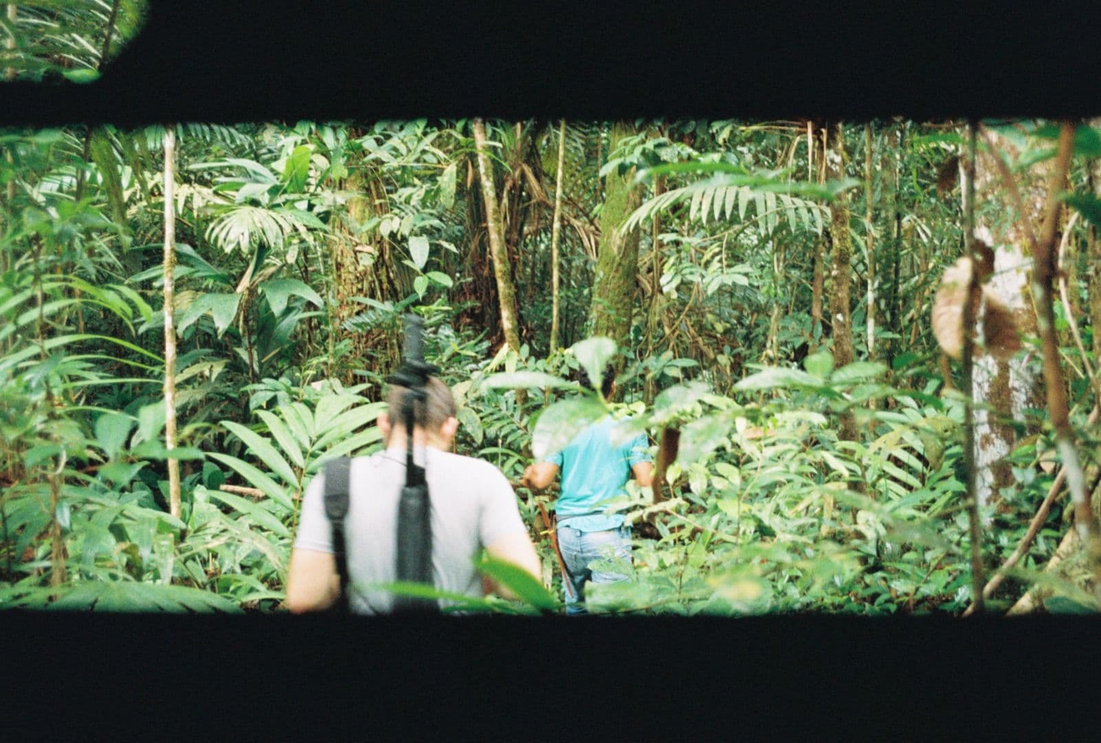 Two field team members carrying survey equipment through dense rainforest understory